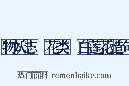 物妖志·花类·白莲花造句是什么意思的图片